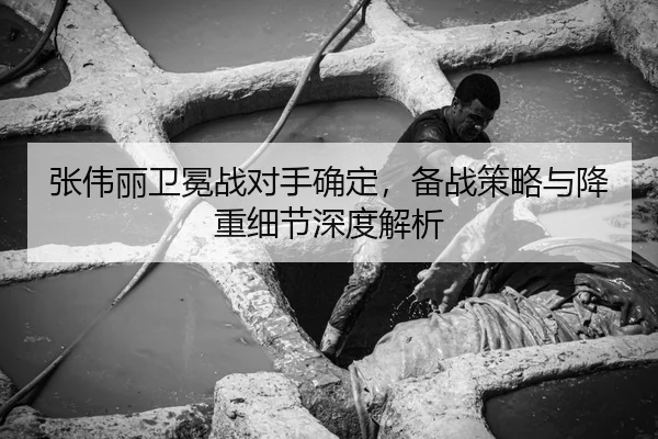 张伟丽卫冕战对手确定，备战策略与降重细节深度解析